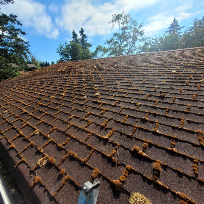 Roof Cleaning and Moss Removal in Port Orchard, WA